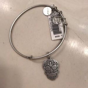 Alex and Ani Skull